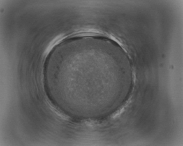 X0000076350199200610061534