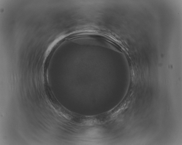 X0000076350200200610061534