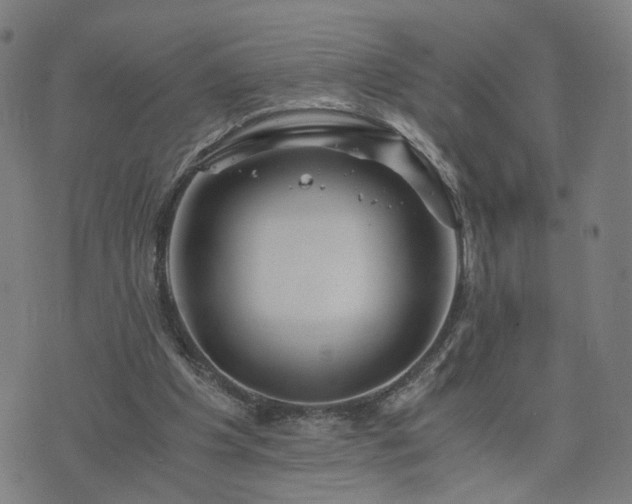 X0000076350201200610061534