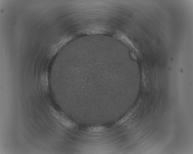 X0000076350202200610061534