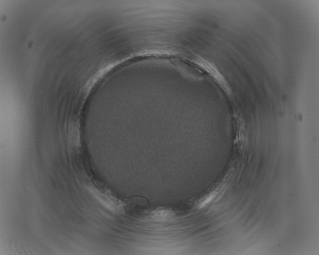 X0000076350204200610061534