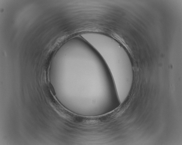 X0000076350205200610061534