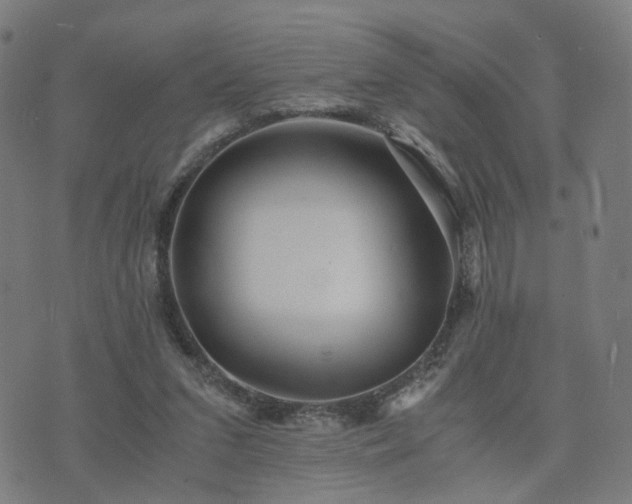 X0000076350207200610061534