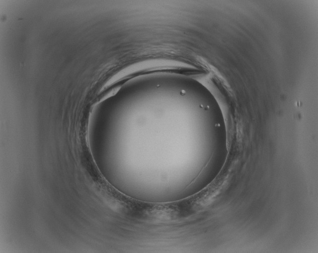 X0000076350209200610061534