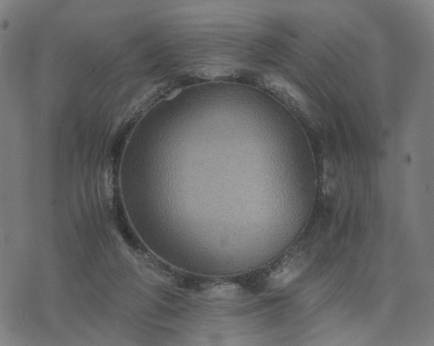 X0000076350210200610061534