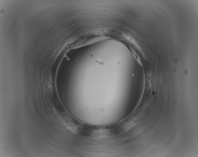 X0000076350212200610061534