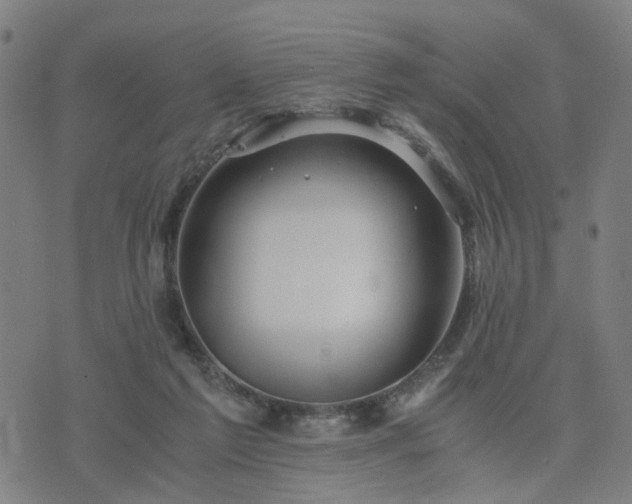 X0000076350213200610061534