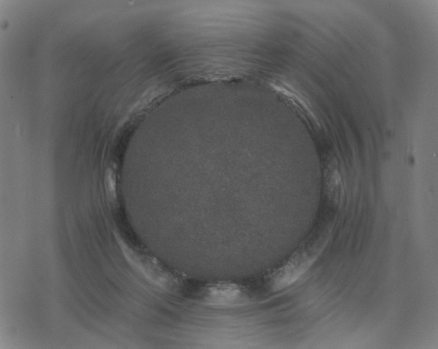 X0000076350214200610061534