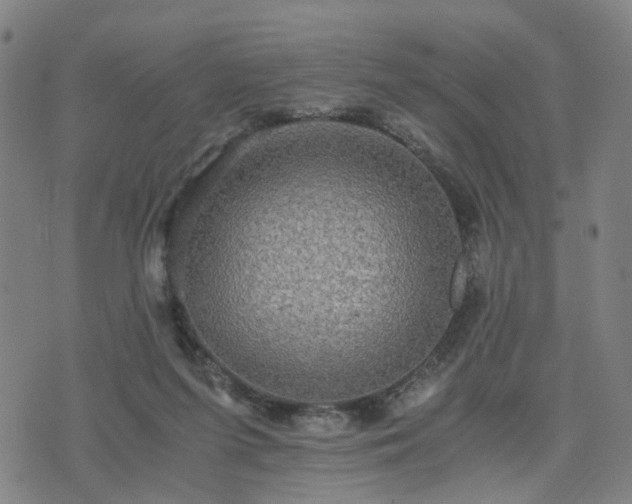 X0000076350215200610061534