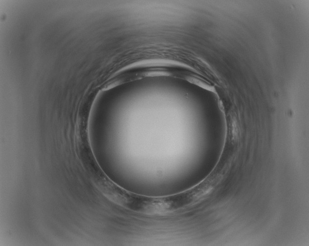 X0000076350217200610061534