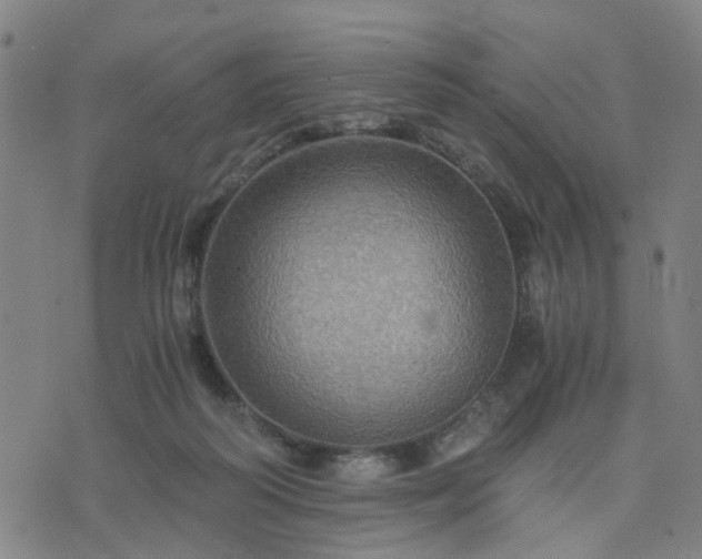 X0000076350218200610061534