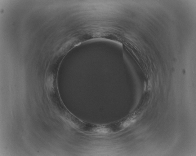 X0000076350219200610061534