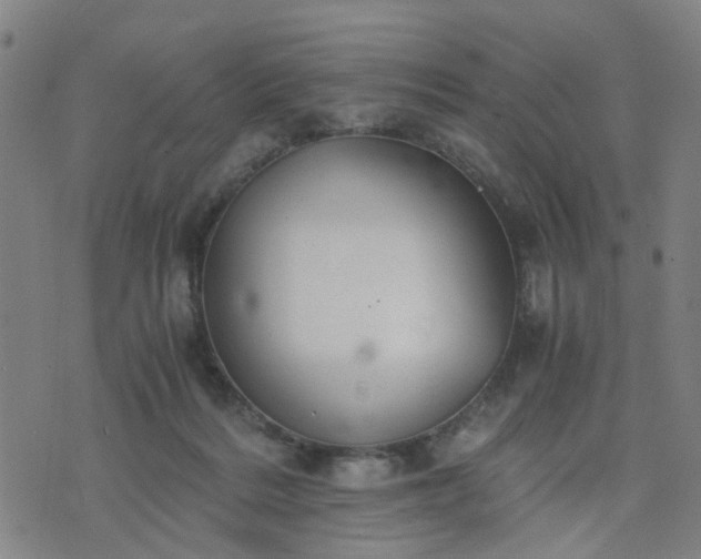 X0000076350220200610061534