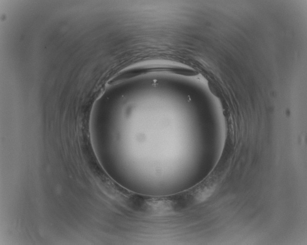 X0000076350221200610061534