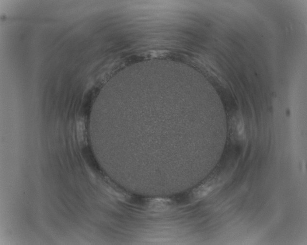 X0000076350222200610061534