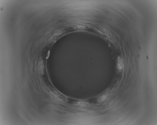 X0000076350223200610061534