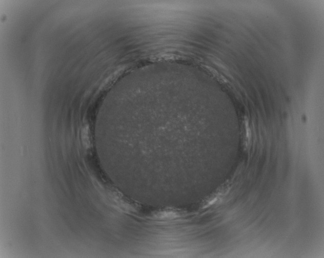 X0000076350224200610061534