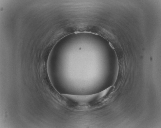 X0000076350225200610061534