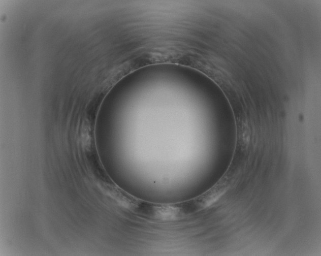 X0000076350226200610061534