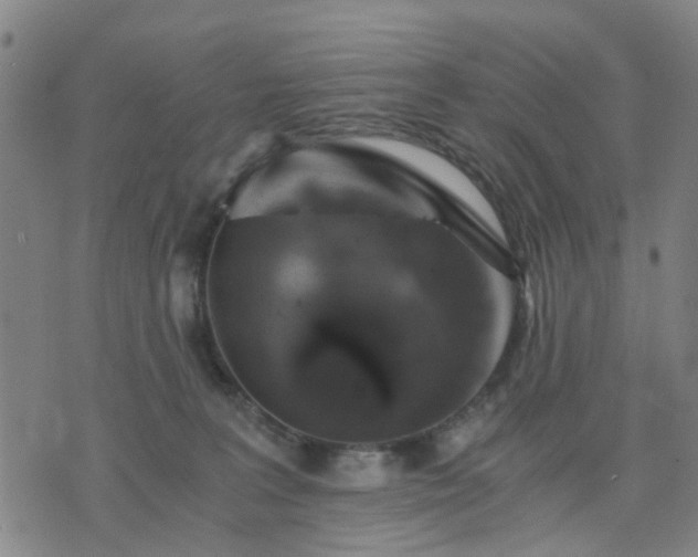 X0000076350227200610061534