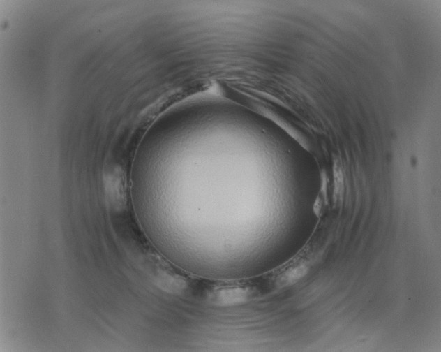 X0000076350228200610061534