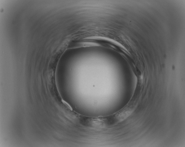 X0000076350229200610061534