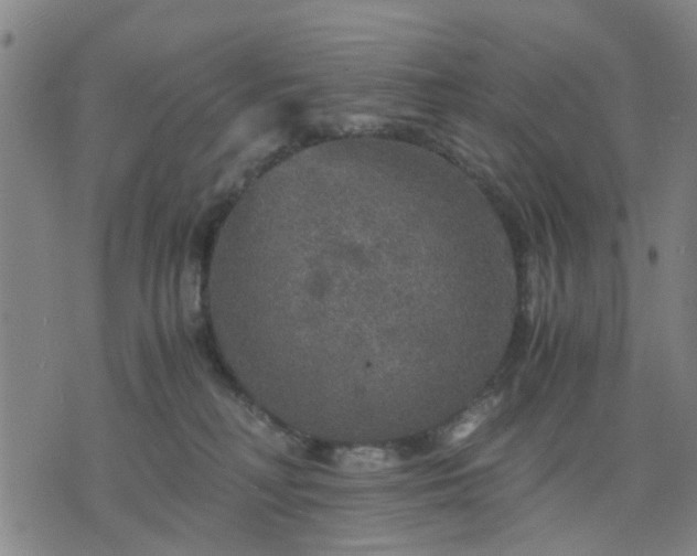 X0000076350230200610061534