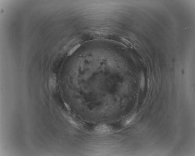 X0000076350231200610061534