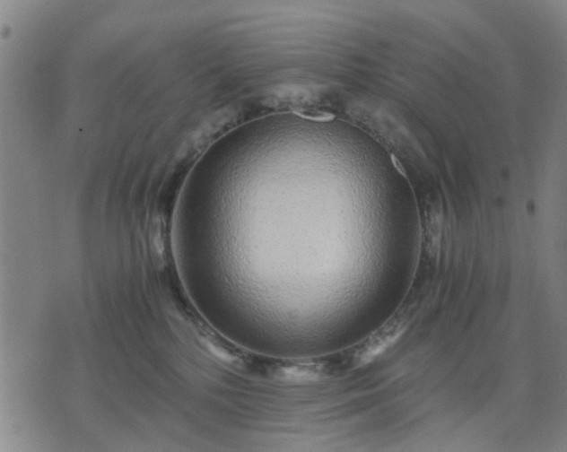 X0000076350232200610061534