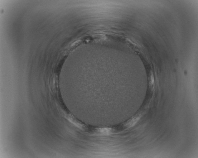 X0000076350233200610061534