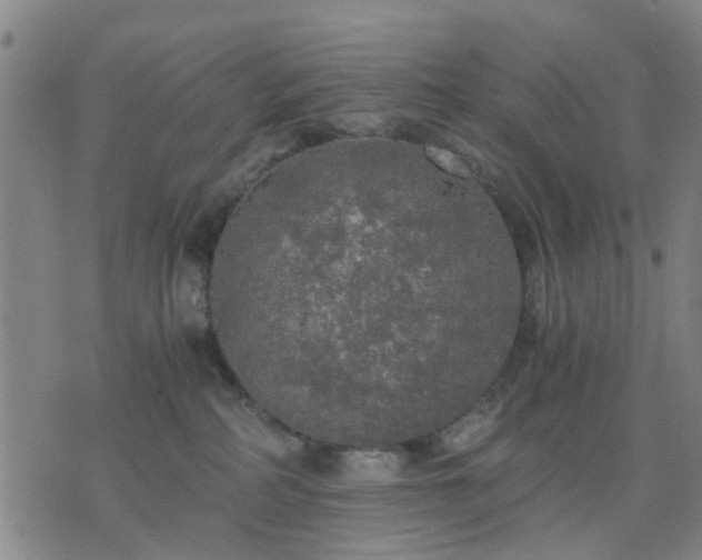 X0000076350234200610061534