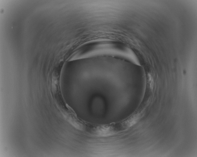 X0000076350235200610061534