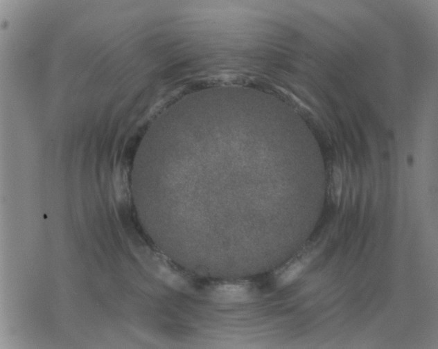 X0000076350236200610061534