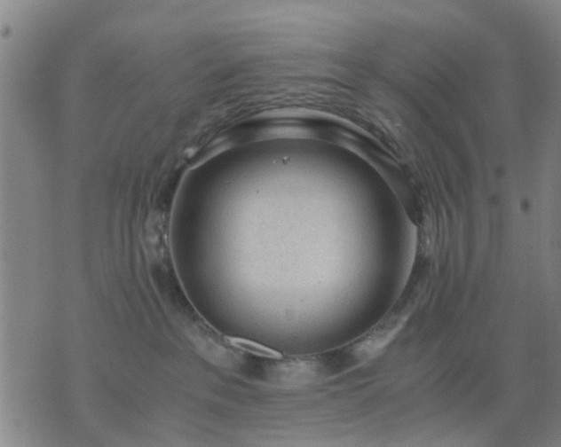 X0000076350237200610061534