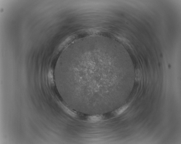 X0000076350238200610061534