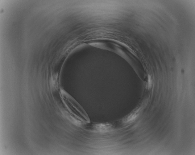 X0000076350239200610061534