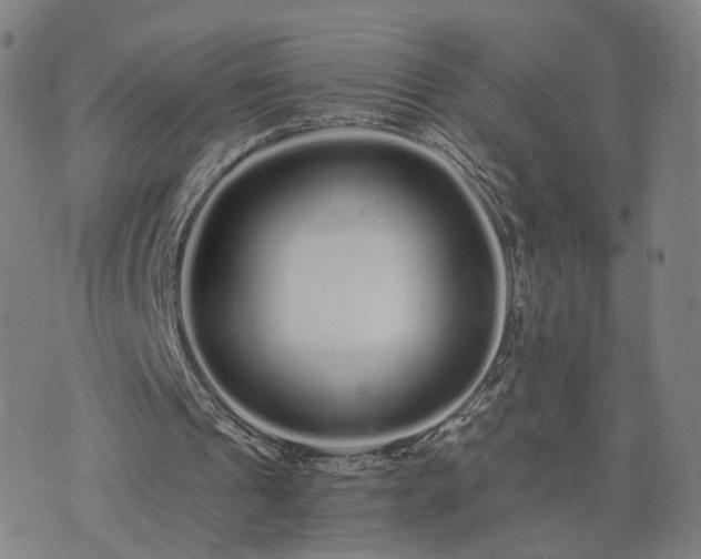 X0000076350241200610061533