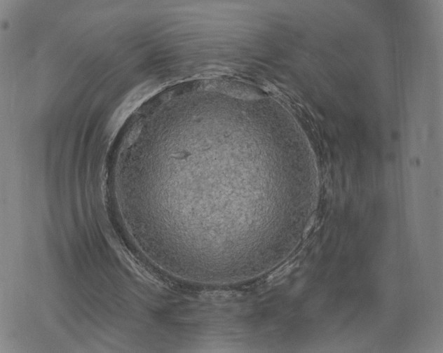 X0000076350242200610061533