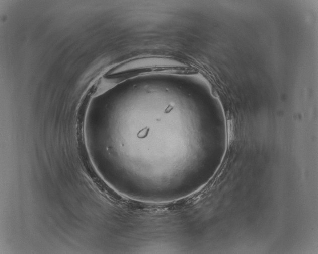 X0000076350243200610061533