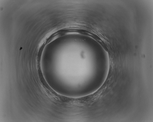 X0000076350244200610061533