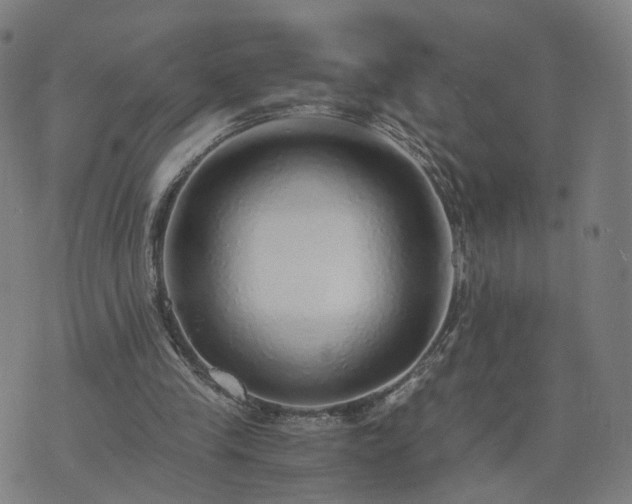 X0000076350245200610061533