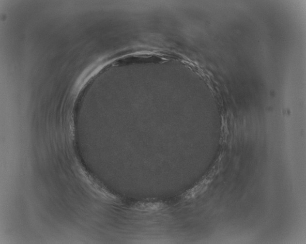 X0000076350247200610061533