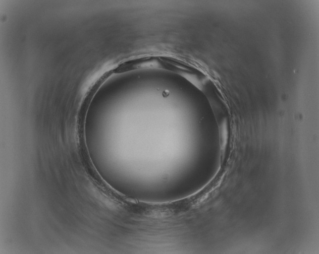 X0000076350248200610061533