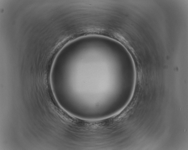 X0000076350249200610061533