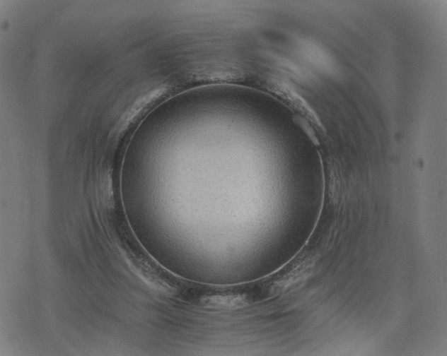 X0000076350251200610061533