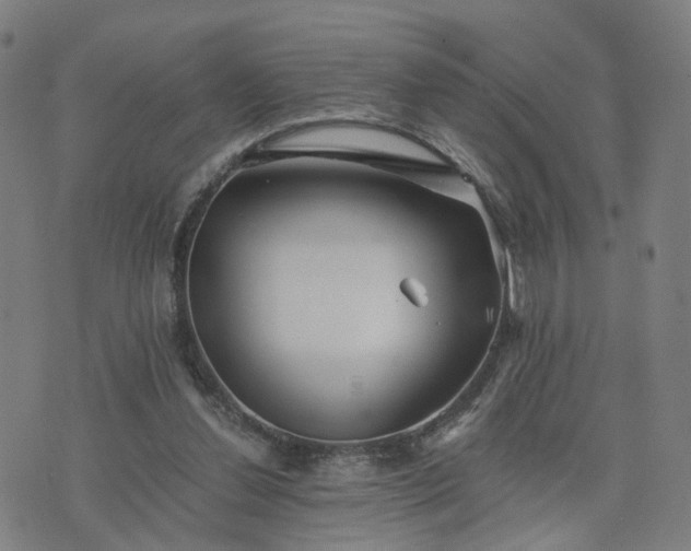 X0000076350252200610061533