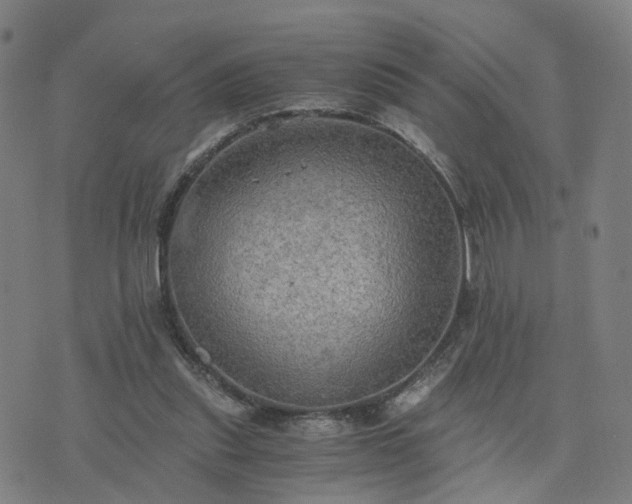 X0000076350253200610061533