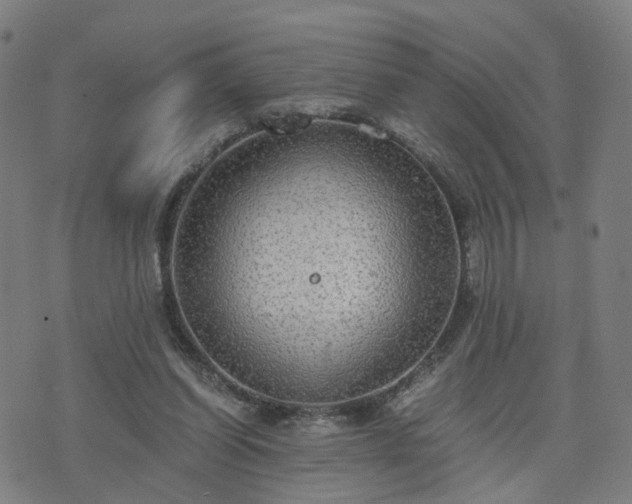 X0000076350254200610061533