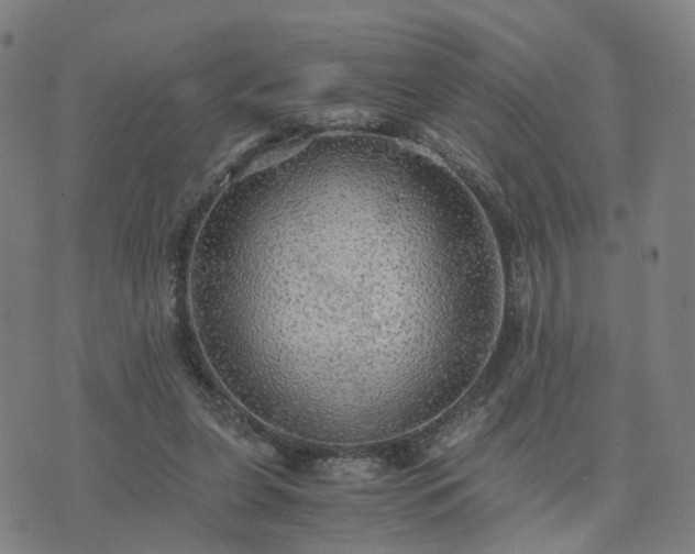 X0000076350255200610061533