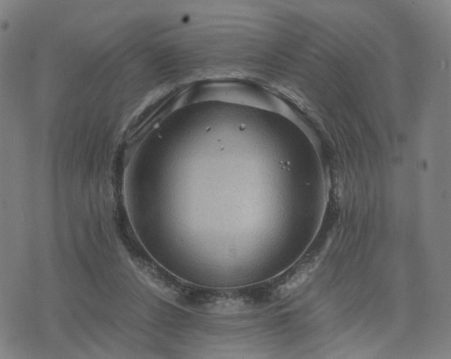 X0000076350256200610061533